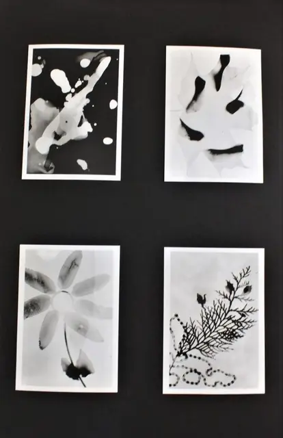 Wystawa koła fotograficznego — zdjęcie 39