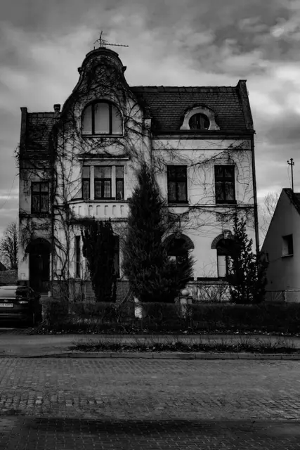 Wystawa koła fotograficznego — zdjęcie 33