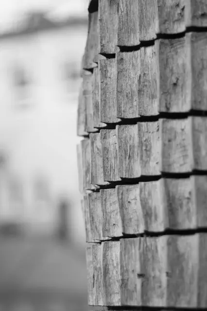 Wystawa koła fotograficznego — zdjęcie 2