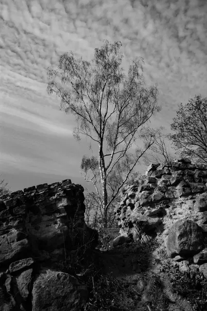 Wystawa koła fotograficznego — zdjęcie 62