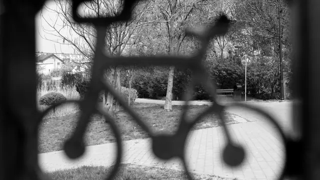Wystawa koła fotograficznego — zdjęcie 63