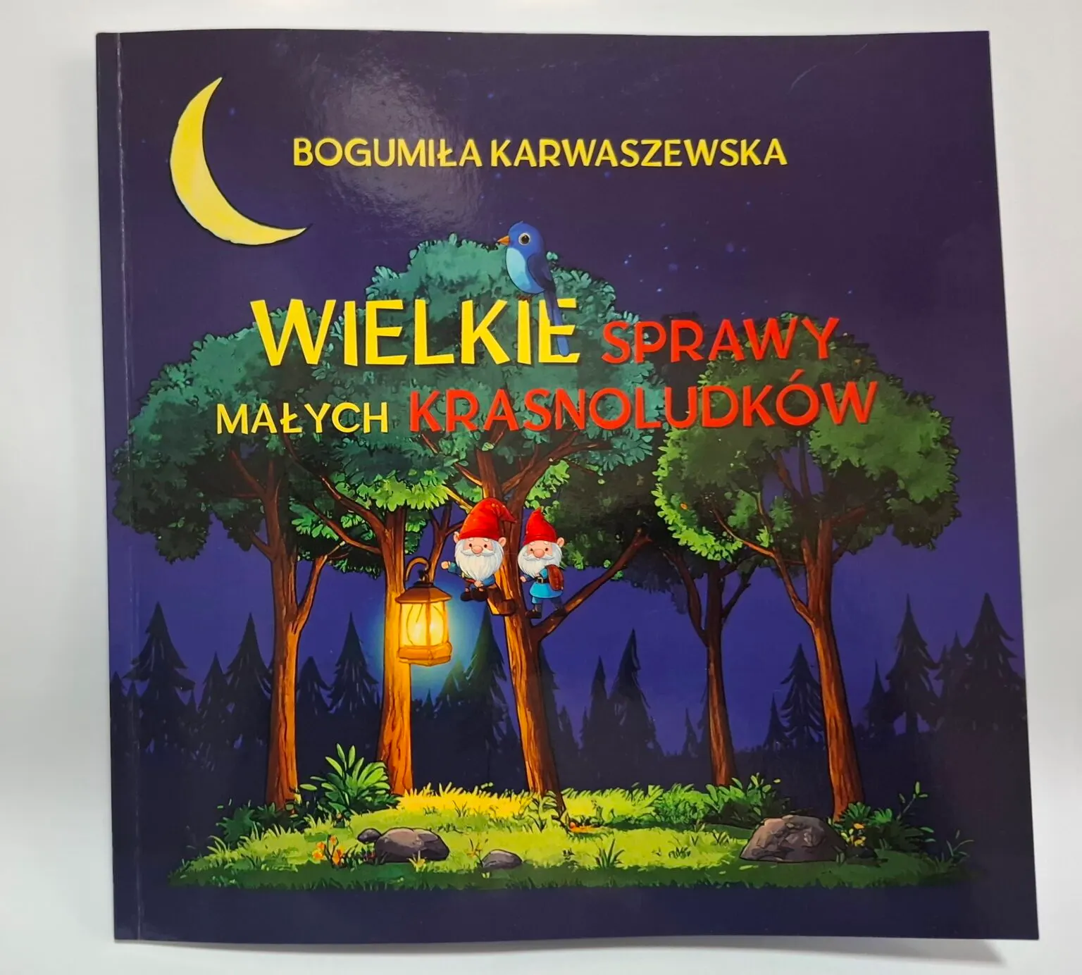 Publikacje i gadżety dostępne w MPI oraz sprzedaży wysyłkowej
