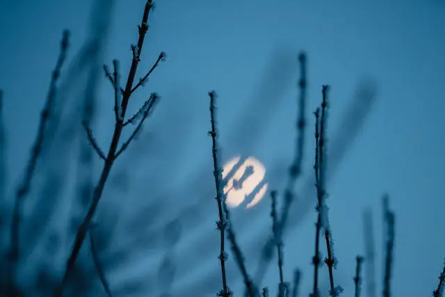 Zimowe pejzaże na fotografii — zdjęcie 3