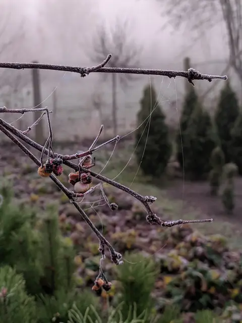 Zimowe pejzaże na fotografii — zdjęcie 5