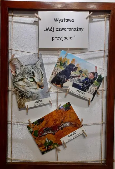 Mój czworonożny przyjaciel rozstrzygnięty — zdjęcie 5