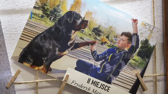 Mój czworonożny przyjaciel rozstrzygnięty — zdjęcie 20