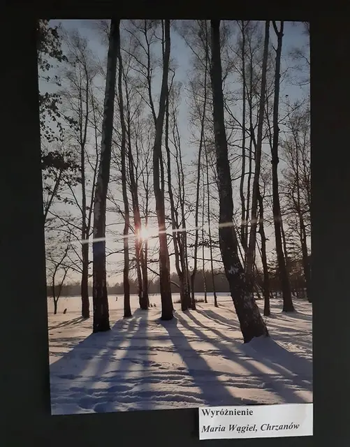 Wystawa „Zimowe inspiracje” — zdjęcie 1