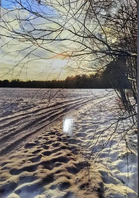 Wystawa „Zimowe inspiracje” — zdjęcie 4