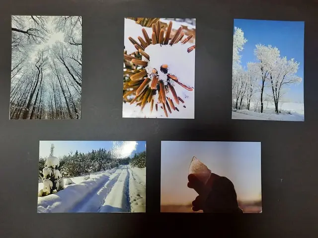 Wystawa „Zimowe inspiracje” — zdjęcie 7