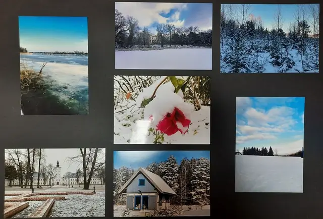 Wystawa „Zimowe inspiracje” — zdjęcie 9