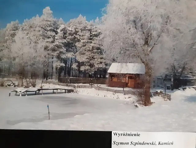 Wystawa „Zimowe inspiracje” — zdjęcie 15