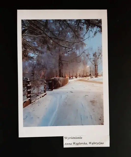 Wystawa „Zimowe inspiracje” — zdjęcie 17