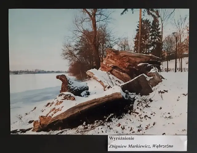 Wystawa „Zimowe inspiracje” — zdjęcie 18