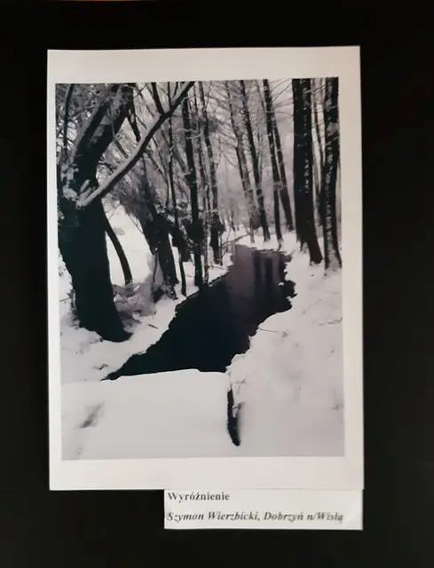 Wystawa „Zimowe inspiracje” — zdjęcie 20