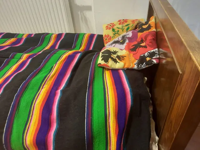 Wystawa Macieja Sachy w WDK — zdjęcie 13