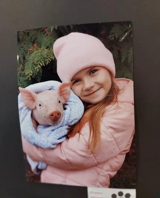 Wystawa„Mój czworonożny przyjaciel” — zdjęcie 4
