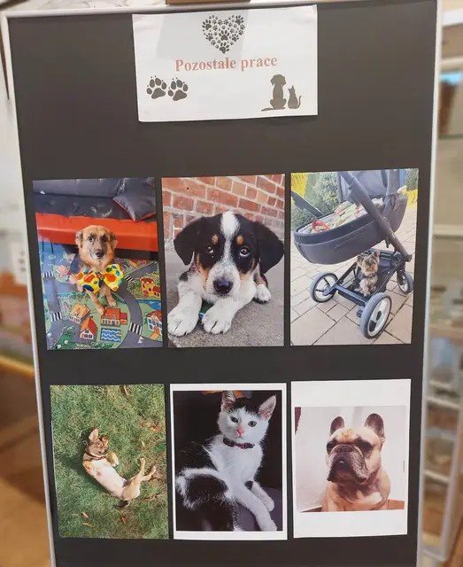 Wystawa„Mój czworonożny przyjaciel” — zdjęcie 13