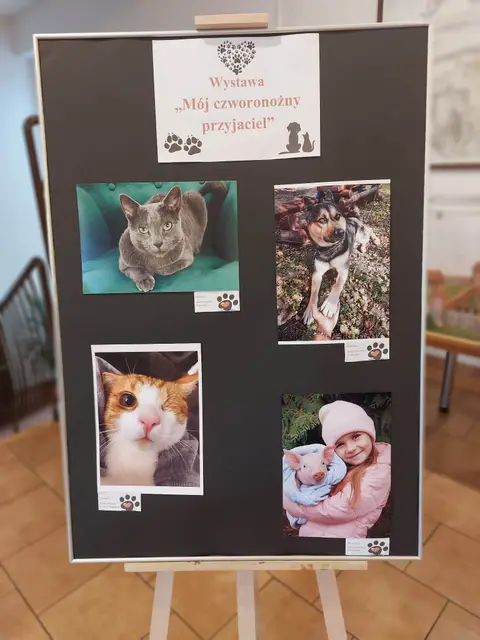 Wystawa„Mój czworonożny przyjaciel” — zdjęcie 16