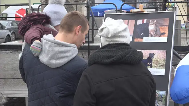 Jarmark świąteczny za nami… — zdjęcie 48