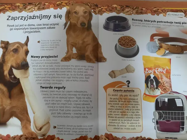 Akademia Kreatywnego Malucha — zdjęcie 11