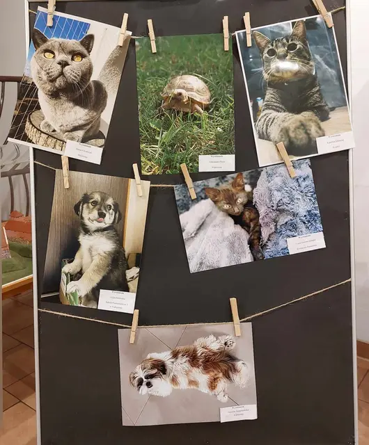 Wystawa „Mój czworonożny przyjaciel” — zdjęcie 2