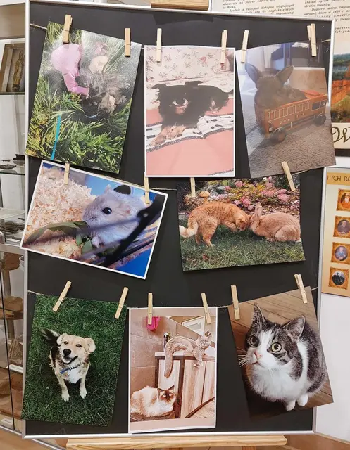 Wystawa „Mój czworonożny przyjaciel” — zdjęcie 6