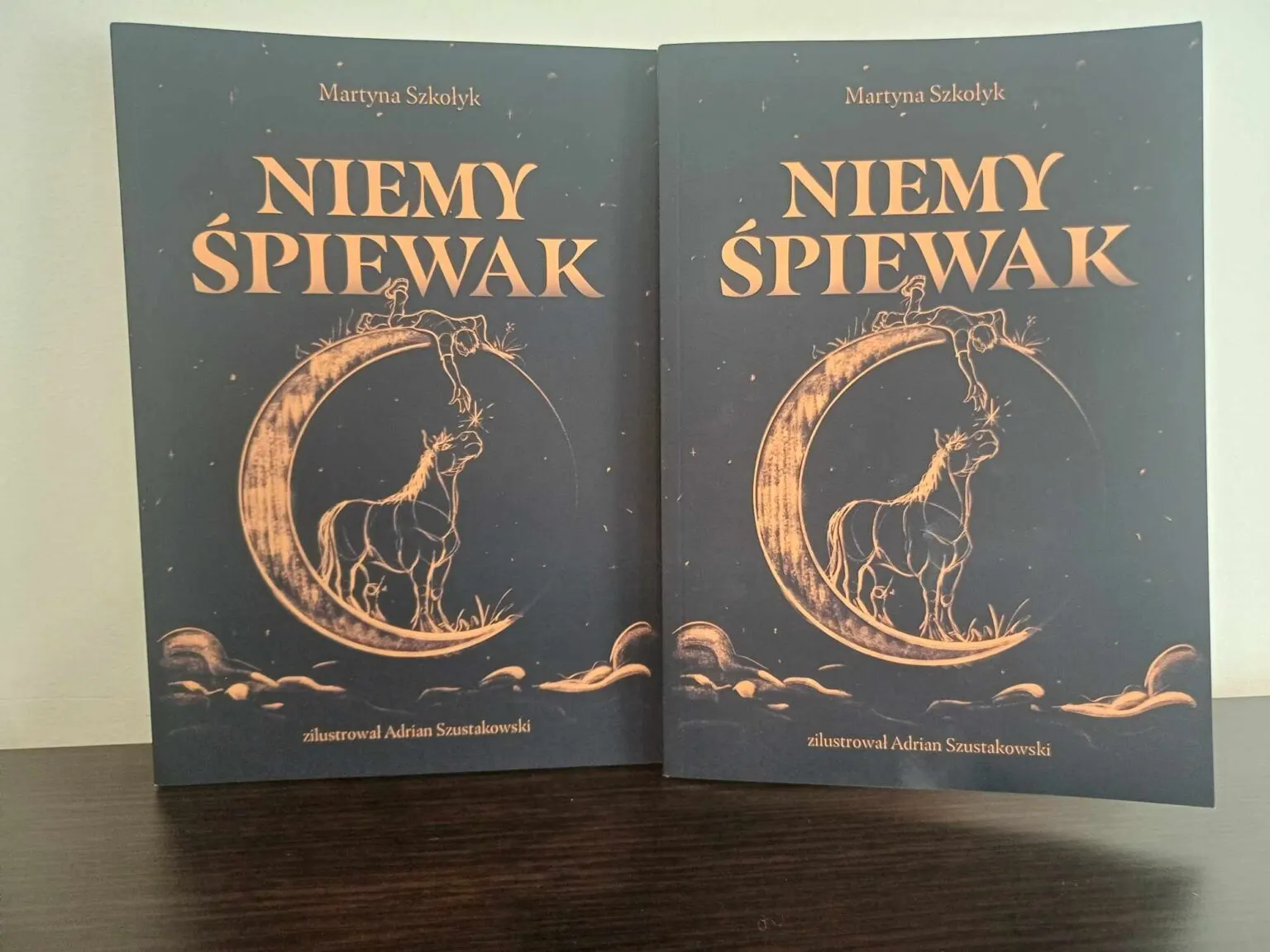 Publikacje i gadżety dostępne w MPI oraz sprzedaży wysyłkowej