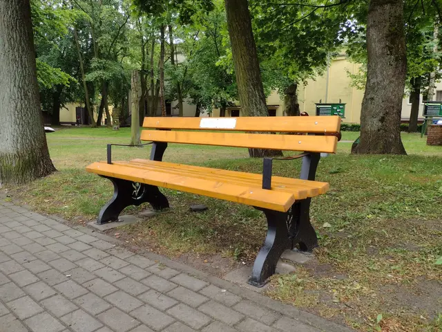 Ławeczka … z dedykacją — zdjęcie 1