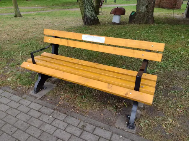 Ławeczka … z dedykacją — zdjęcie 2