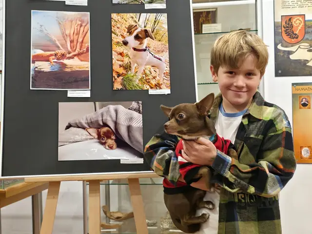 „Mój czworonożny przyjaciel” na fotografii — zdjęcie 6