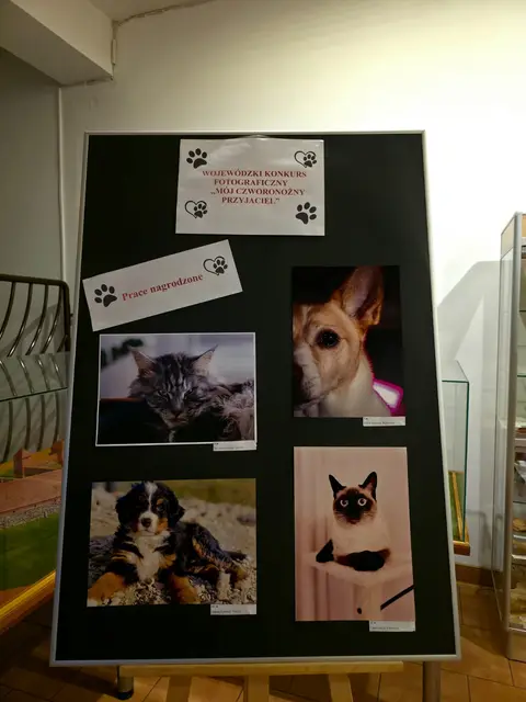 „Mój czworonożny przyjaciel” na fotografii — zdjęcie 9