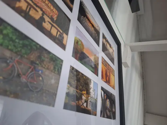 Wystawa koła fotograficznego WDK — zdjęcie 4