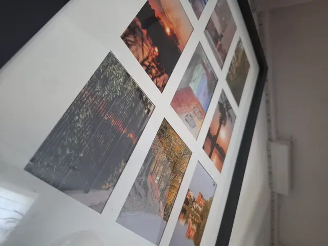 Wystawa koła fotograficznego WDK — zdjęcie 5