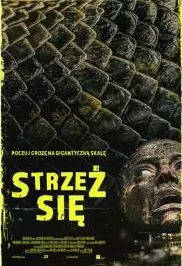 Plakat: Strzeż się